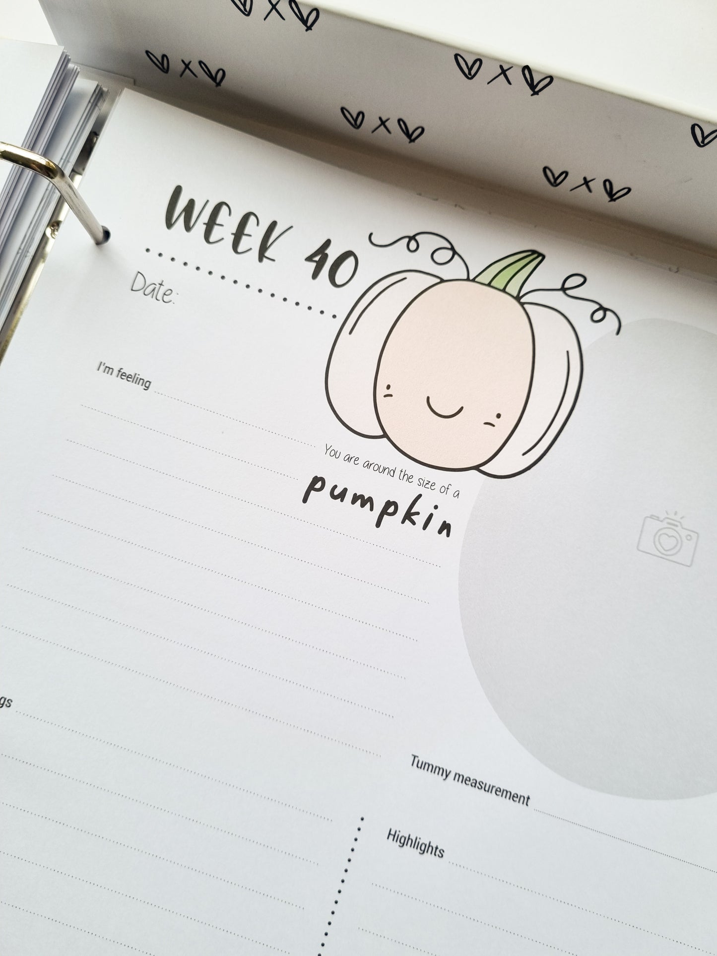Pregnancy milestones in keepsake folder baby size comparison weekly