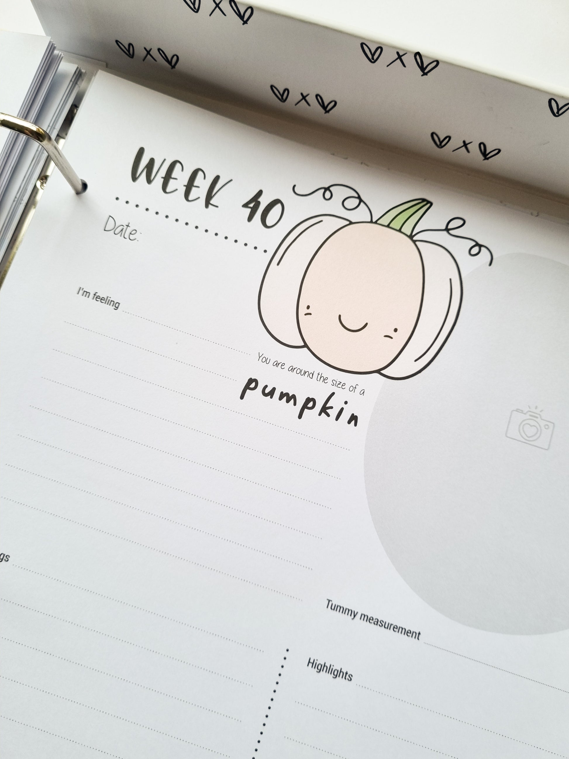 Pregnancy milestones in keepsake folder baby size comparison weekly